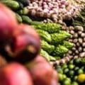 Understanding the Three Components of a Food System